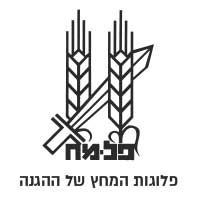 עמותת דור הפלמח
